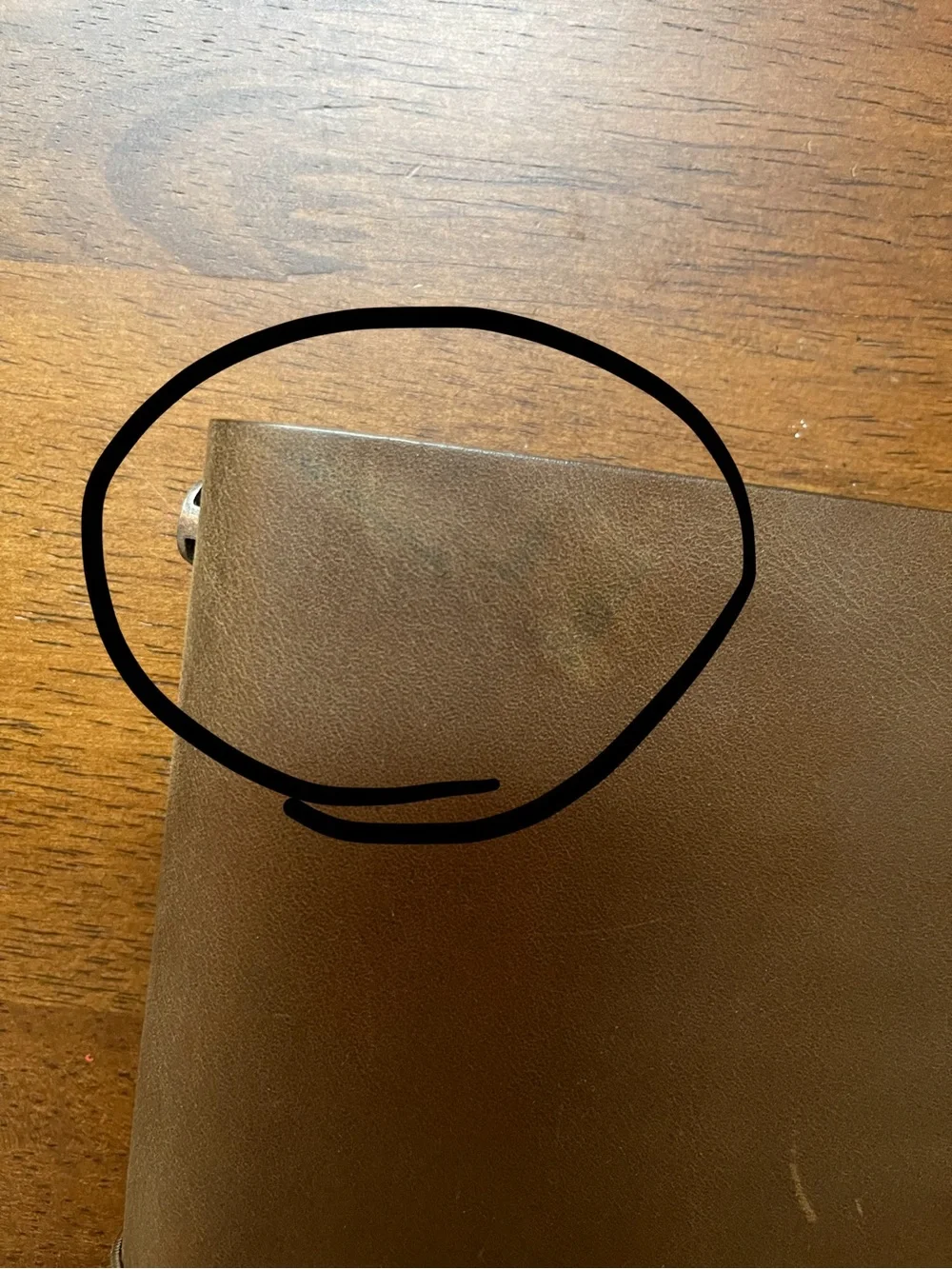 TRAVELER’S Notebook Regular Size Olive - Picture 2 of 4